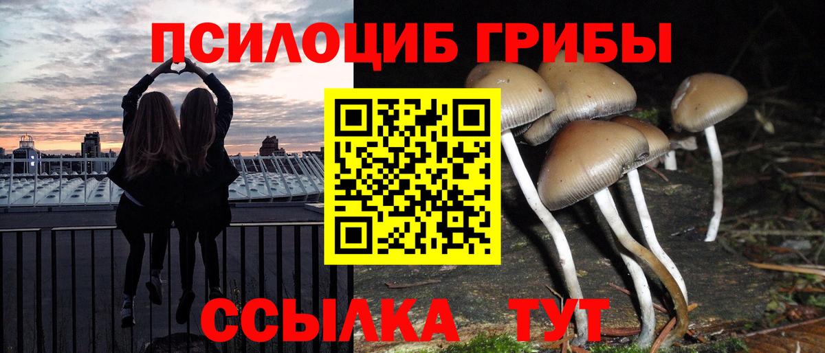 Галлюциногенные грибы GOLDEN TEACHER Дедовск